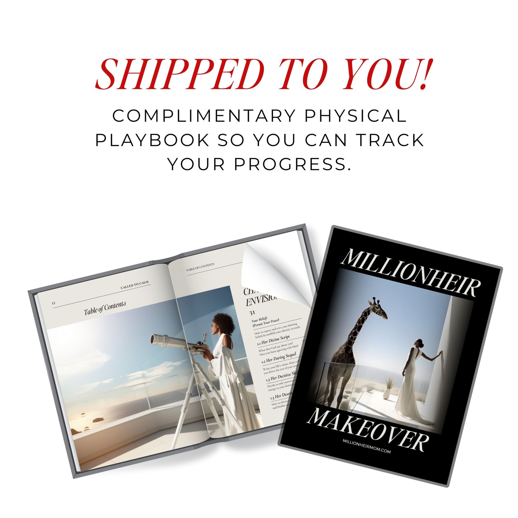 .The Millionheir Mom's Club | VIP Membership + 1:1 Coaching + Companion Planner & Playbook Shipped